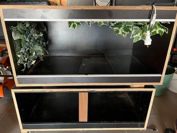 Betonplex terrarium beschikbaar voor biedingen