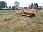 Hooi in kleine balen, Dieren en Toebehoren, Paarden