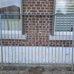 Hondenrennen 4 stuks voor 90 €, Dieren en Toebehoren, Ophalen, Gebruikt