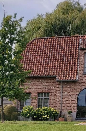Rustieke gevelstenen rood beschikbaar voor biedingen