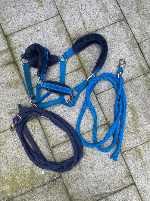 Halster en halstertouw, Dieren en Toebehoren, Paarden en Pony's | Hoofdstellen en Tuigage, Zo goed als nieuw, Ophalen of Verzenden