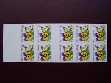 Boekje 36 postfris - Viooltje beschikbaar voor biedingen