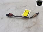 LAMBDASONDE Ford Focus 4 Wagon (01-2018/12-2025), Gebruikt, Ford