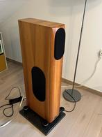 Audio Physic Virgo III - Parfait état, Zo goed als nieuw, 120 watt of meer, Front, Rear of Stereo speakers, Ophalen