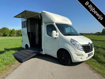 2019 Renault Master 2-paards paardenvrachtwagen B-rijbewijs