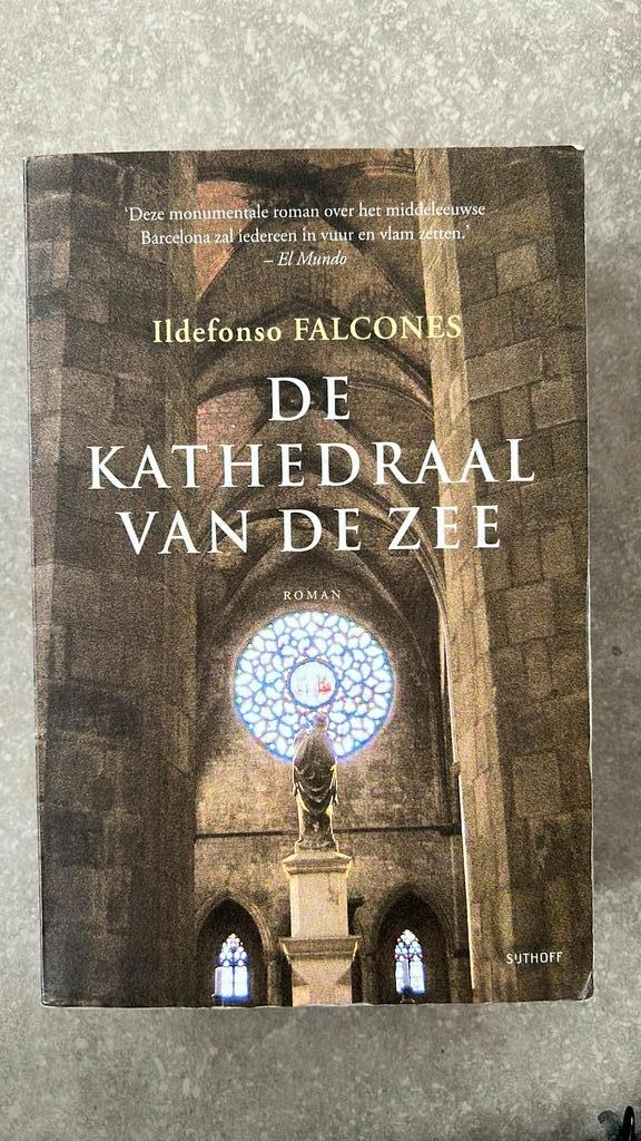 Ildefonso Falcones - De kathedraal van de zee, Boeken, Literatuur, Gelezen, Ophalen of Verzenden