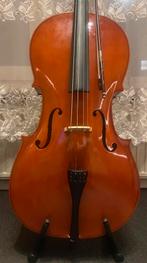 Mooie cello 4/4 FORMAAT, Muziek en Instrumenten, Strijkinstrumenten | Cello's, Ophalen of Verzenden, Gebruikt, 4/4-cello