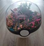 Espeon pokemon bal, Ophalen of Verzenden, Nieuw, Overige typen