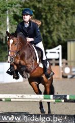 Gezocht : wagen die 2000kg kan trekken. (Waasland), Auto's, Particulier, Te koop, 4x4