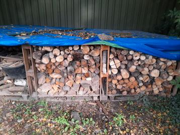 8 kuub brandhout waarvan 1 kuub aanmaak/plankjes beschikbaar voor biedingen