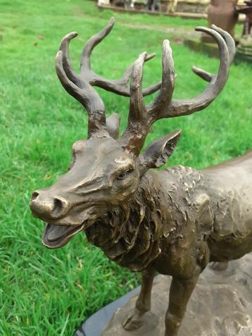 Superbe statue en bronze signé (le brame du cerf), Enlèvement ou Envoi