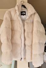 The North Face winterjas /is nog nieuw, Kleding | Dames, Ophalen of Verzenden, Maat 42/44 (L)