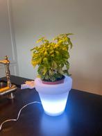 Bloempot verlicht van vondom diam 18cm, Tuin en Terras, Bloempotten, Ophalen, Nieuw