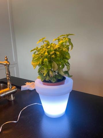 Bloempot verlicht van vondom diam 18cm, Enlèvement, Neuf