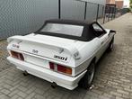 TVR Tasmin Oldtimer, Gebruikt, Overige brandstoffen, Bedrijf, Overige carrosserie