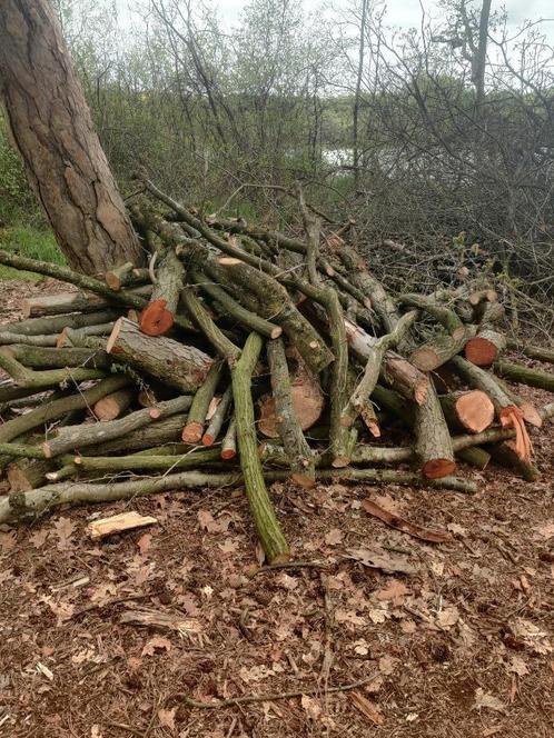 Brandhout, Tuin en Terras, Brandhout, Takken, Eikenhout, 6 m³ of meer, Ophalen of Verzenden