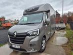 Paarden camionet  stx van 2021 hengsten uitvoering, Auto's, Particulier, Te koop