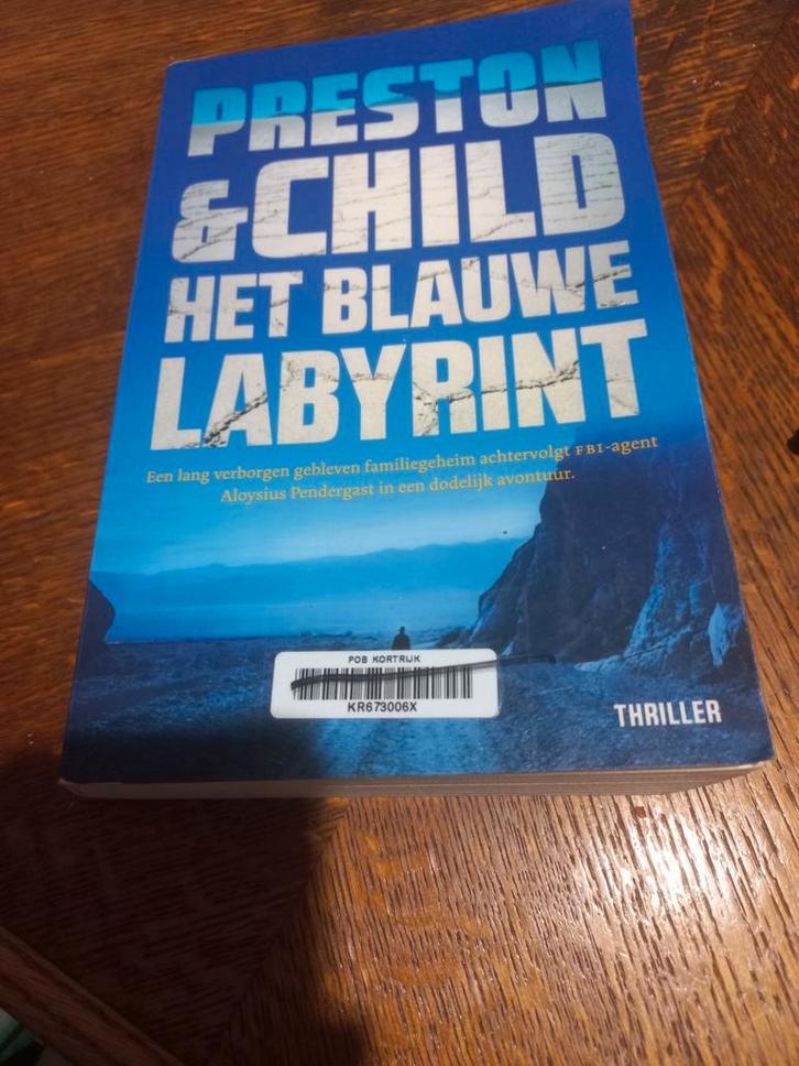 Preston & Child - Het blauwe labyrint, Livres, Thrillers, Enlèvement ou Envoi