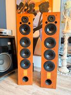 Triangle lyrr-222 35kg, TV, Hi-fi & Vidéo, Enceintes, Enlèvement, Comme neuf