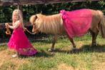Leuke (kinder) shet pony, Dieren en Toebehoren, B, 11 jaar of ouder, Merrie, Gechipt