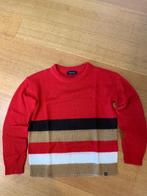 Trui dames terre bleue, Kleding | Dames, Maat 38/40 (M), Terre Bleue, Ophalen of Verzenden, Gedragen