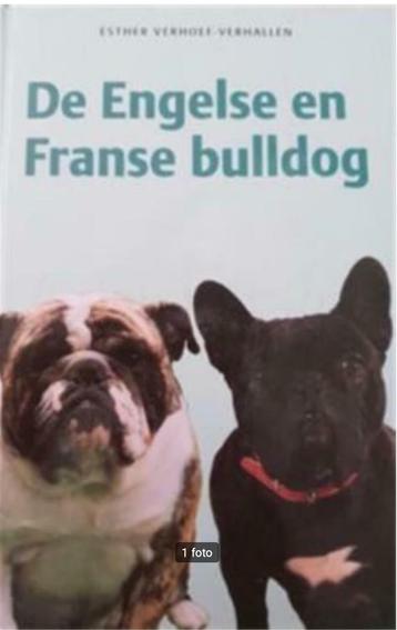 De Engelse en Franse bulldog, Esther Verhoef beschikbaar voor biedingen
