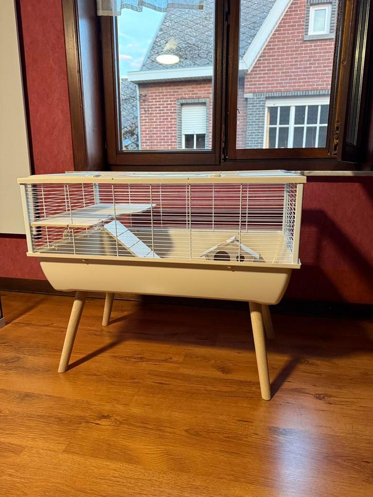 Kooi voor hamster, Dieren en Toebehoren, Knaagdieren en Konijnen | Hokken en Kooien, Nieuw, Kooi, Hamster, Ophalen