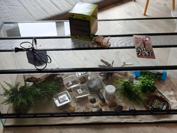 Complete Terrariumset voor Reptielen beschikbaar voor biedingen