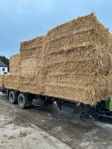hooi in grote pakken  te koop  beschikbaar voor biedingen