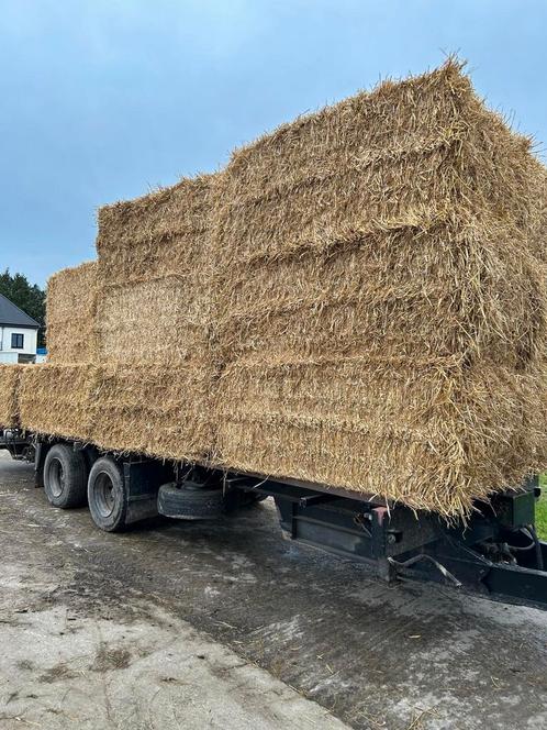hooi in grote pakken  te koop, Zakelijke goederen, Landbouw | Veevoer, Ophalen of Verzenden