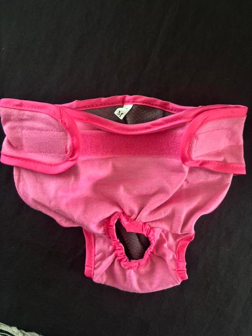 Culotte anti-gouttes pour petit chien ou chat neuve, Dieren en Toebehoren, Hondenkleding, Nieuw, Overige hondenkleding, Ophalen of Verzenden