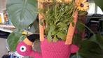 Handmade gehaakte planthangers, Hobby & Loisirs créatifs, Tricot & Crochet, Comme neuf, Enlèvement ou Envoi
