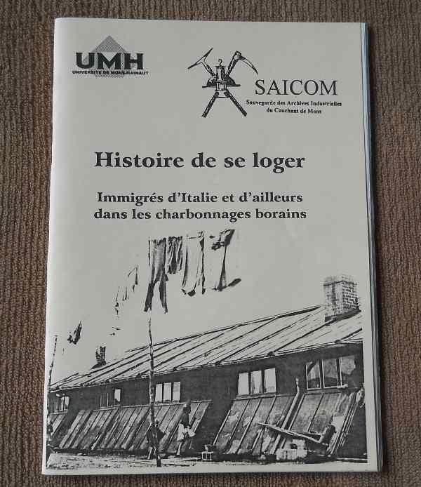 Immigrés d'Italie et ailleurs dans les charbonnages borains, Livres, Histoire nationale, Enlèvement ou Envoi