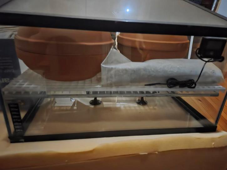 Kweekset + bakken voor slangen/reptielen, Dieren en Toebehoren, Reptielen en Amfibieën | Toebehoren, Nieuw, Broedstoof of Broedmachine