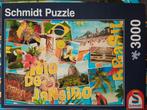 Puzzel 3000 stukken, Ophalen of Verzenden, Zo goed als nieuw