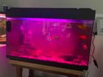 80 cm lengte aquarium, Dieren en Toebehoren, Vissen | Aquaria en Toebehoren, Ophalen, Zo goed als nieuw