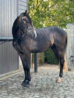 Paarden zadelmak maken, Dieren en Toebehoren, Paarden, Zadelmak