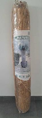 Winterbescherming palmboom, Enlèvement, Palmier, 400 cm ou plus