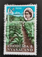 Rhodésie-Nyasaland 1963 - tabac - plantation, Affranchi, Enlèvement ou Envoi