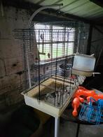 Cage à oiseaux sur support, Enlèvement, Utilisé, Cage à oiseaux