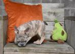Prachtig Merle Franse Bulldog pup, Dieren en Toebehoren, België, CDV (hondenziekte), 8 tot 15 weken, Bulldog