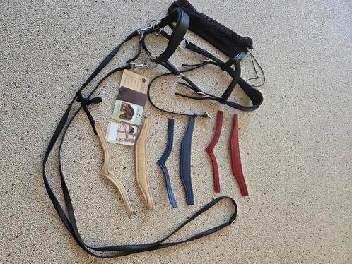 Fra Aruba sidepull bitloos hoofdstel met 4 kleuren frontriem, Dieren en Toebehoren, Paarden en Pony's | Verzorgingsproducten, Zo goed als nieuw