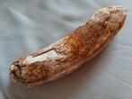 Stuk mammoet slagtand - meer dan 2 kg, Verzamelen, Mineralen en Fossielen, Ophalen of Verzenden, Fossiel
