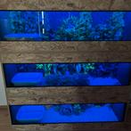 Osb3 terrarium RepHouSZ. Ook maatwerk, Ophalen of Verzenden, Nieuw, Terrarium of Paludarium