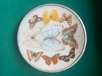 Vintage opgezette vlinders in kader, Antiquités & Art, Antiquités | Plateaux, Enlèvement ou Envoi