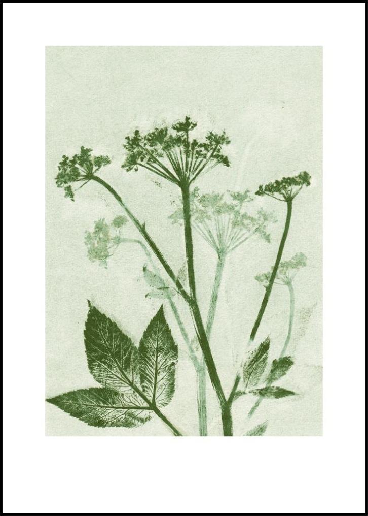 Ingekaderde botanische art print Pernille Folcarelli, Huis en Inrichting, Woonaccessoires | Overige, Zo goed als nieuw, Ophalen of Verzenden