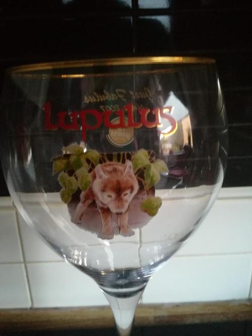 3 liter glas Lupulus jubleem editie 15 jaar genummerd, Verzamelen, Biermerken, Nieuw, Glas of Glazen, Overige merken, Ophalen of Verzenden