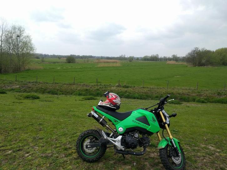 honda 125 msx, Motoren, Motoren | Honda, Particulier, Naked bike, 11 kW of minder, 1 cilinder, Minimaal motorrijbewijs A1, Sportuitlaat