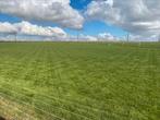 Rollen met natuurlijke graszoden, Tuin en Terras, Gras en Kunstgras, Zo goed als nieuw