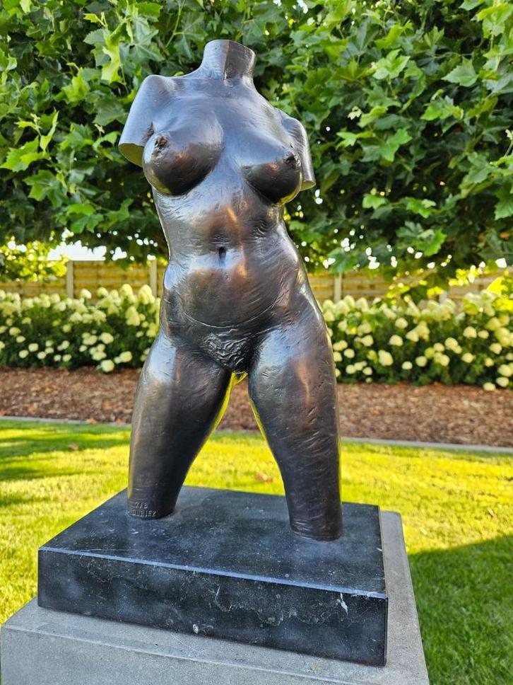 Duriez Irénée prachtig groot bronzen naakt, ouder werk koopj, Antiek en Kunst, Kunst | Beelden en Houtsnijwerken, Ophalen of Verzenden